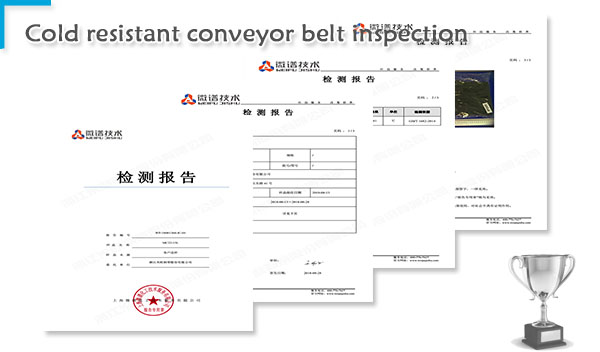 Cold resistant conveyor belt