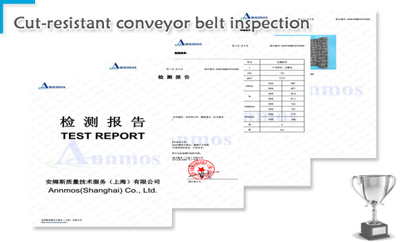 Cut-resistant conveyor belt