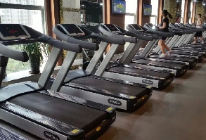 Treadmill belt