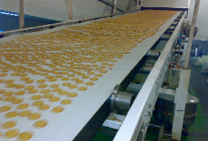 Food conveyor belt